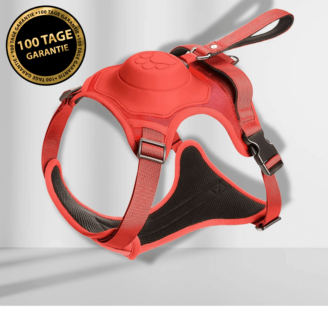 PawElite - Flexibles Hundegeschirr mit integrierter Leine