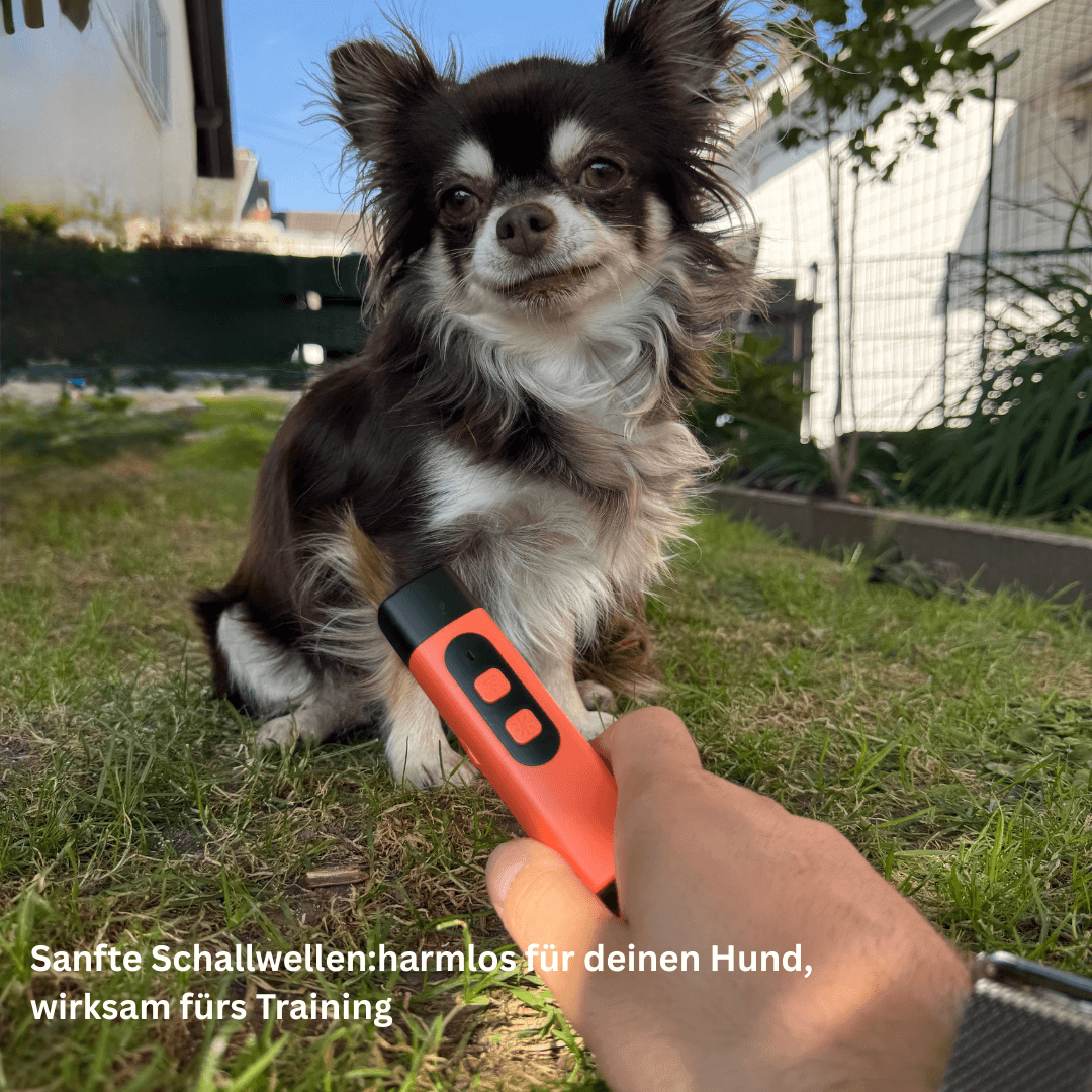 PawAura - Schonendes Ultraschall - Training für eine ruhige Atmosphäre