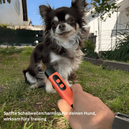 PawAura - Schonendes Ultraschall - Training für eine ruhige Atmosphäre