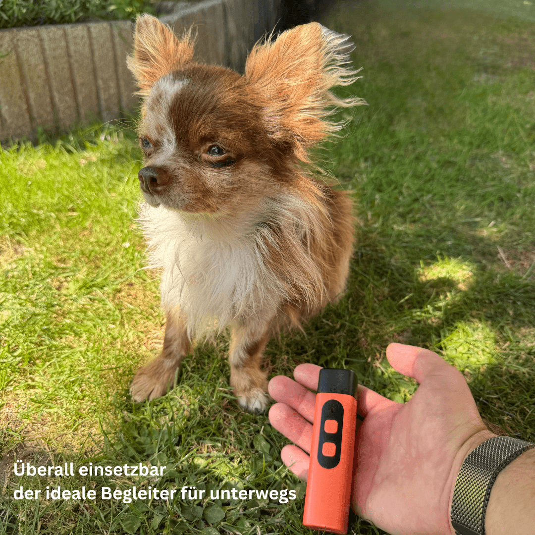 PawAura - Schonendes Ultraschall - Training für eine ruhige Atmosphäre