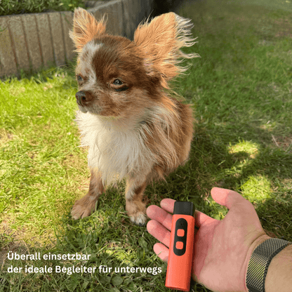 PawAura - Schonendes Ultraschall - Training für eine ruhige Atmosphäre