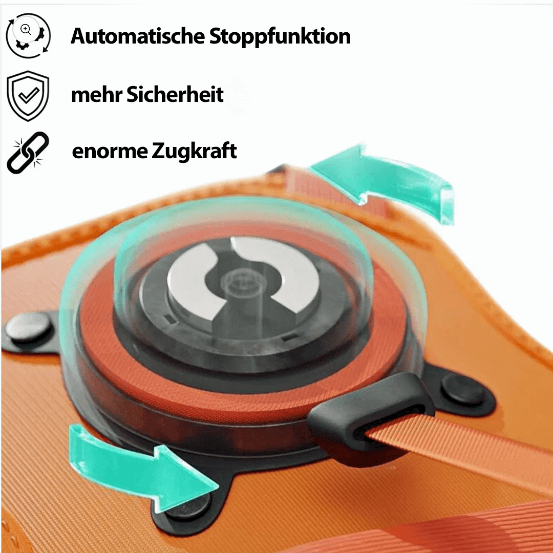 PawElite - Flexibles Hundegeschirr mit integrierter Leine