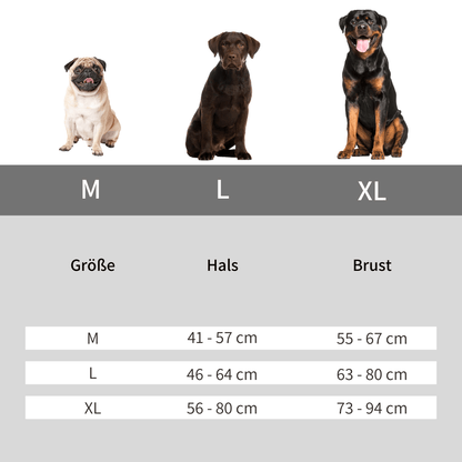 PawElite - Flexibles Hundegeschirr mit integrierter Leine