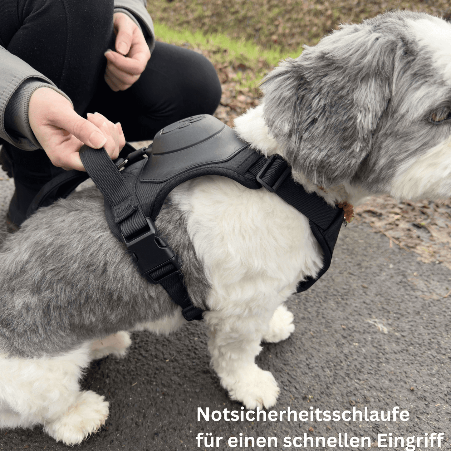 PawElite - Flexibles Hundegeschirr mit integrierter Leine