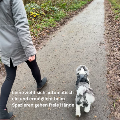 PawElite - Flexibles Hundegeschirr mit integrierter Leine