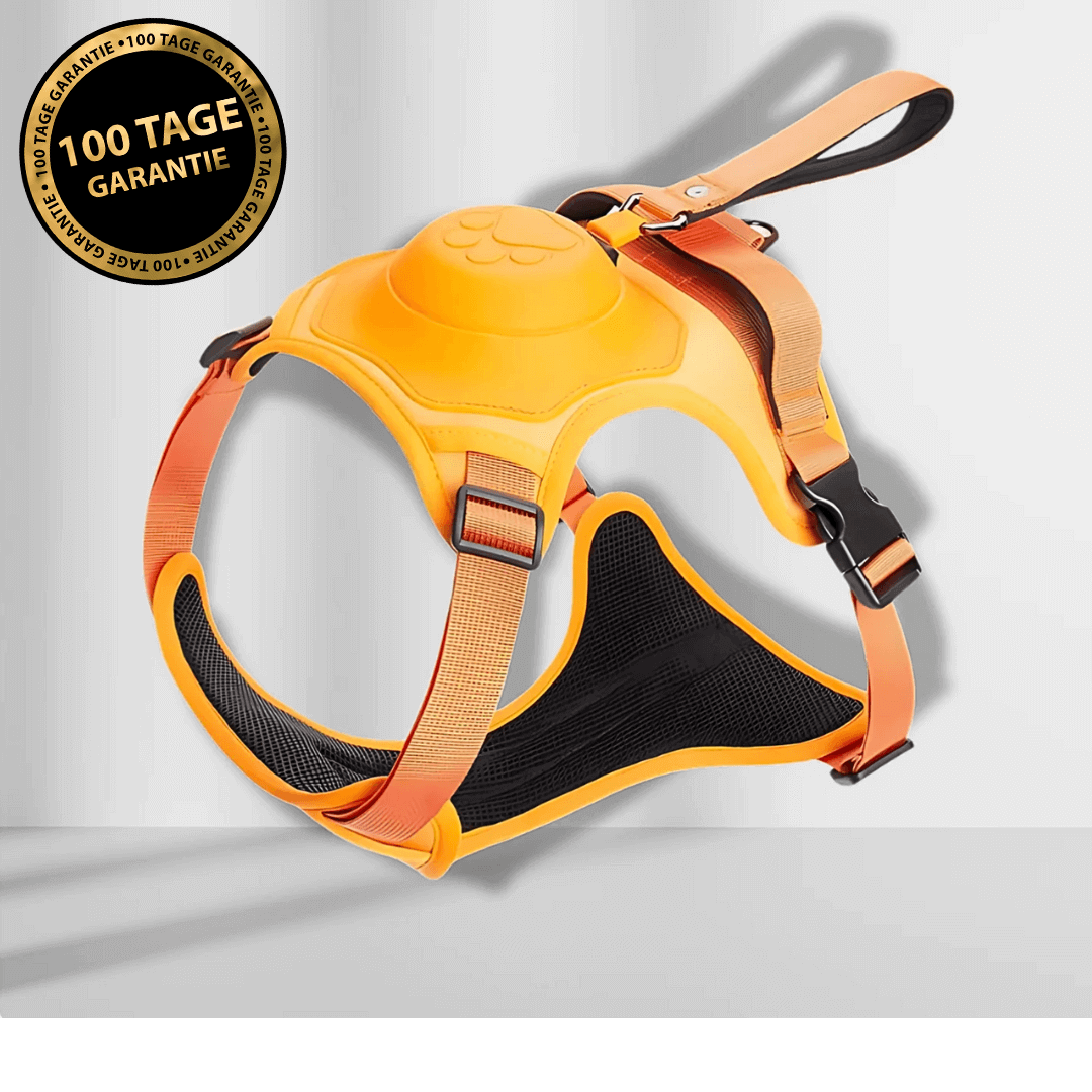 PawElite - Flexibles Hundegeschirr mit integrierter Leine