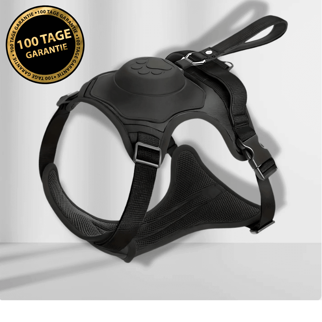 PawElite - Flexibles Hundegeschirr mit integrierter Leine