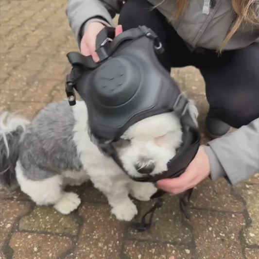 PawElite - Flexibles Hundegeschirr mit integrierter Leine